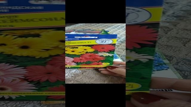 Семена садовых цветов.