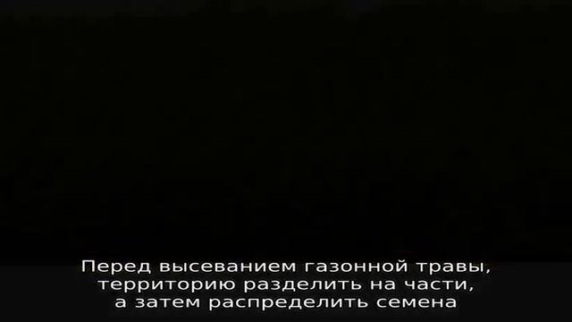 Выбираем лучшую траву для газона на даче