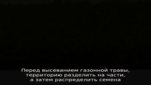 Выбираем лучшую траву для газона на даче
