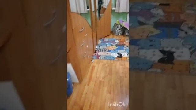 Прятки экстремальные 