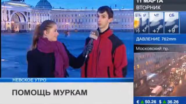 Прямое включение служба спасения домашних животны смотреть онлайн