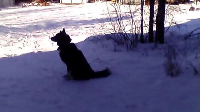 Пелец мини отзывы владельца 9 пробег 450км смотреть онлайн