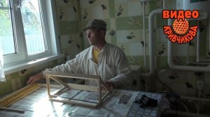 Матководство ч.3. Пересадка личинок