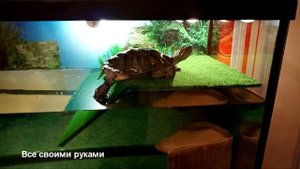 Поговорим о лампах для красноухих черепах! ОЧЕНЬ ВАЖНАЯ ИНФОРМАЦИЯ!