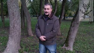 Выбор оружейного сейфа