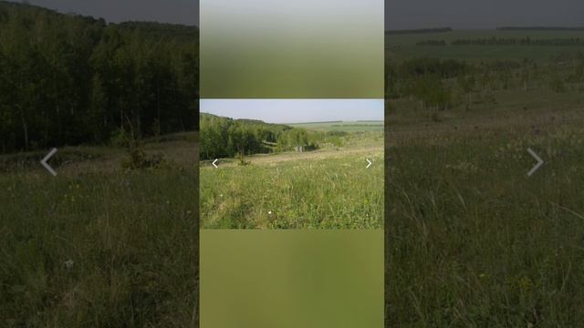 #рассказ #лесостепь #степь О лесостепи, степи.