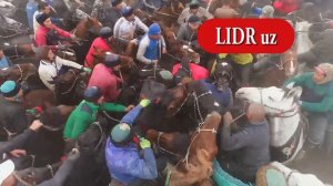 Алишер полвон Муроджон файзиевнинг машхур Бойинг отида автомабилга ташлади