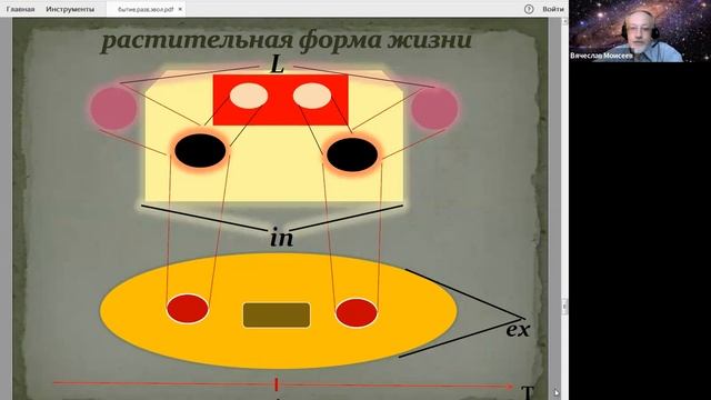 Занятие 10. Общая философия: концепция онтологии смотреть онлайн