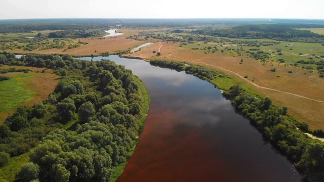 ? Рыбалка на реке Березина в Светлогорском районе Гомельской области.