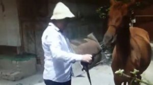 Какой смешно зокх прикол😂😂😂😁😁😁😂😂😁😂😂😁😂😁😂😀