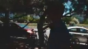 Аренда помещения под бизнес. Земля в аренду у города. Аукционы.