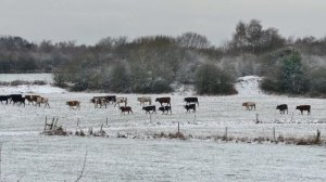 18 Февраля церковный праздник ДЕНЬ АГАФЬИ. Что нельзя делать. Приметы, обычаи и традиции 18 февраля