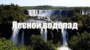 Лесной водопад l 1 час для расслабления и сна