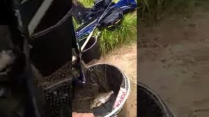 С фидером в районе города Кимры