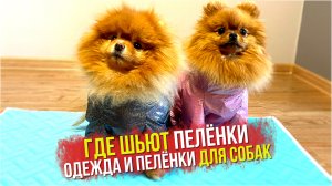 Где шьют многоразовые пелёнки и одежду для собак. Дождевик для шпица, пелёнки для щенков