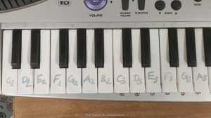 Part 4 - Auto Accompaniment Function I Casio MA 150 Tutorial All Features & Functions I Tutorial I