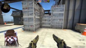 ГОВОРЯЩИЙ ЕНОТ ЗАПИКАПИЛ ПОШЛУЮ ДЕВУШКУ В CSGO / КСГО