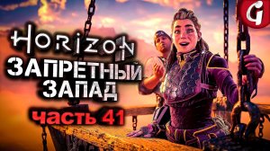 ЛЕТАЕМ НА БОЛЬШОМ ВОЗДУШНОМ ШАРЕ ➤ Horizon Forbidden West ➤ Прохождение №41 ➤ PS5