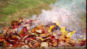 Размышления об осени c Cергеем Чекалиным!