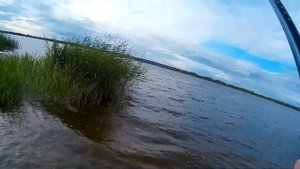 озеро Яново. Ловля очень мелкого подлещика. НЕПОГОДА. РЫБАЛКА В ВИТЕБСКОЙ ОБЛАСТИ