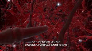 ПЕРЕПРОШЕЙ свой мозг СИЛОЙ МЫСЛИ. Доказана нейропластичность мозга!