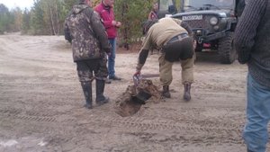 Испытание "грузинского" якоря.