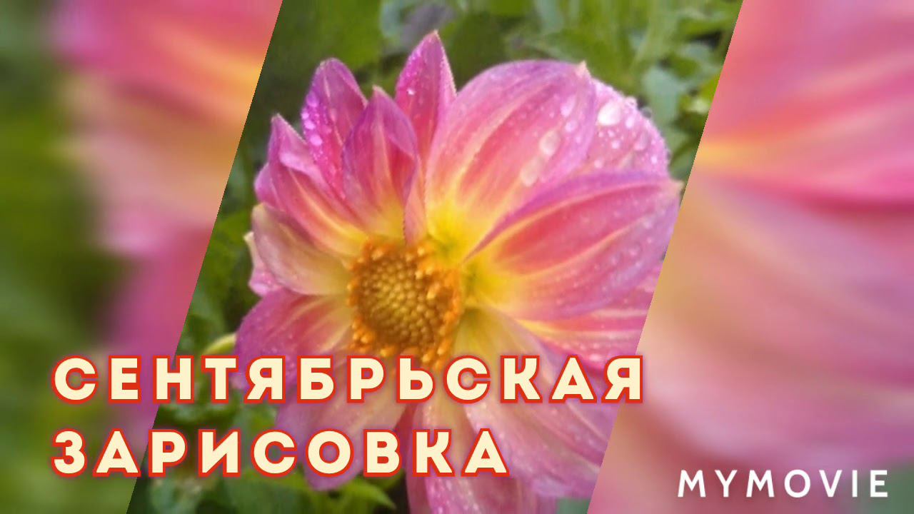 осень.сентябрь