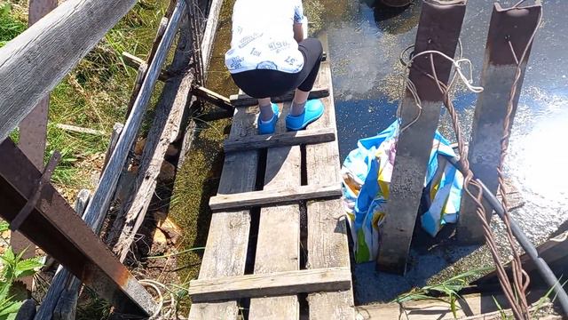 Установка ловушки для черепахи смотреть онлайн