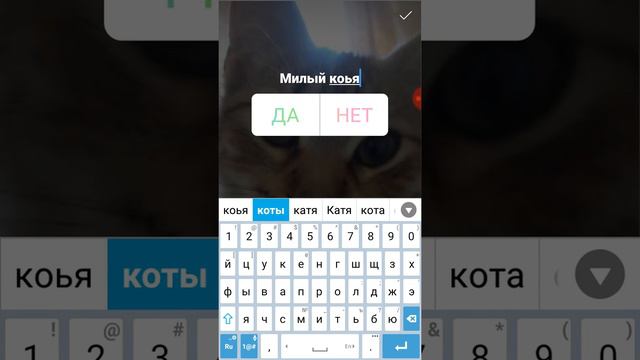 Как сделать опрос в инстаграмме