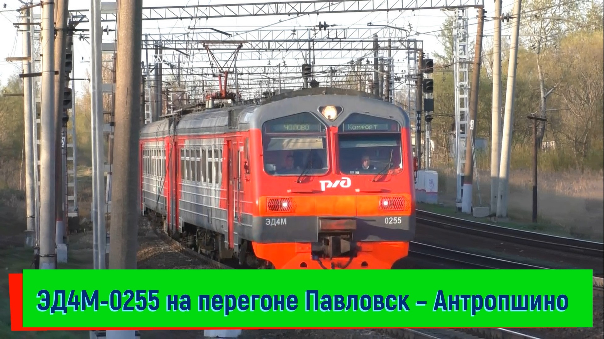 Электропоезд ЭД4М-0255 на перегоне Павловск – Антропшино | ED4M-0255