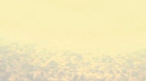 Исследую старые места по-новому. Река Илеть с подводной камерой для рыбалки FishFocuCams Pro (1 MP)