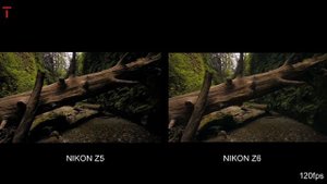 NIKON Z5 VS NIKON Z6 CAMERA COMPARISON