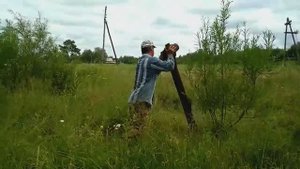 Нашёл такое ___ что пришлось тащить машиной.