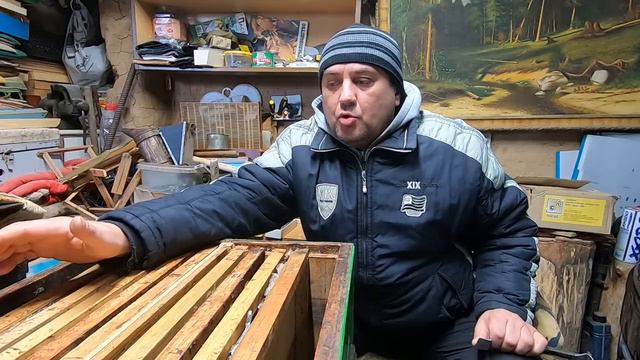 ✅ Как помочь пчелам в мороз -20! #ПЧЕЛОВОДСТВО6 начинающим с нуля! смотреть онлайн