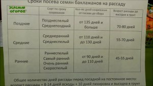 Сроки посева Баклажана. Советы от Зеленого Огорода.