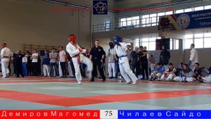 Кубок Москвы по Рукопашному Бою 2018 г. Демиров Магомед-Чилаев Сайдо 75 кг.