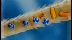 Реклама шампунь Pantene Pro-v 2007 год