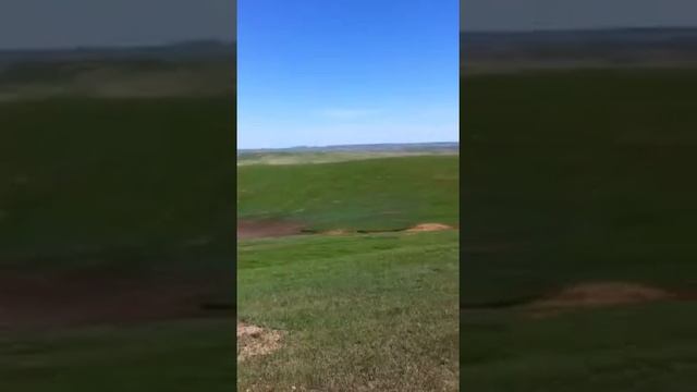 Prairie Dog Hunt South Dakota