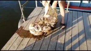 Рыбалка в Астраханской области, обзор рыболовной базы OFF CLUB