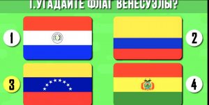 Угадай страну по ее флагу?