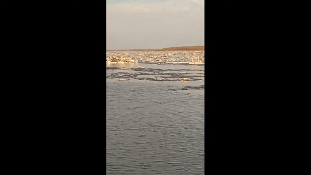 Ледоход на р. Обь смотреть онлайн