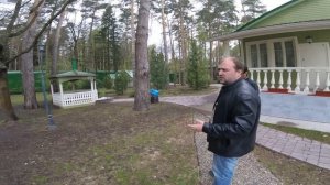 Газон под соснами