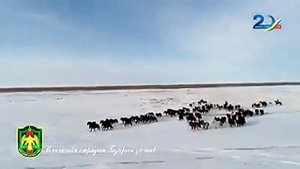 Историческая хроника ПВ Монголии: Как монгольские пограничники охраняют границу с Китаем