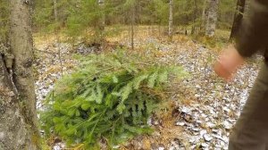 ЗИМОВЬЕ В ТАЙГЕ |  охота на дичь, жизнь, баня и тайга, топоры | Primitive Log Cabin in the Forest