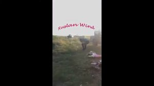 Joke! Прикол !Рыбаки подшутили над дедом!