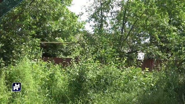 Город зарос травой смотреть онлайн