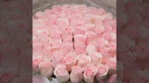 С Днём рождения, Галина!