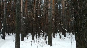 МОЩНАЯ аффирмация на Богатство, Удачу и Успех ?Слушать каждый день