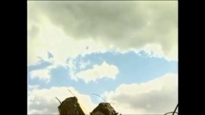 Аварийно-спасательные и другие неотложные работы