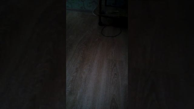 Как вызвать зомби смотреть онлайн